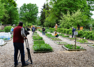 HR im Kräutergarten