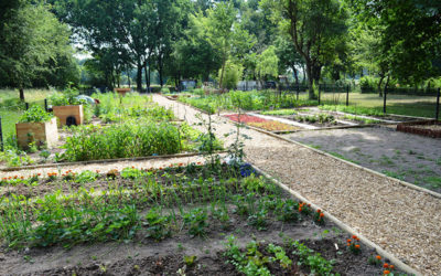 Familiengarten