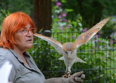 Falknerin Zieten mit Schleiereule