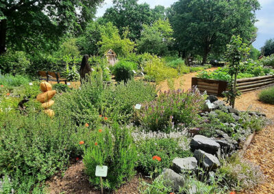 Kräutergarten-Dreieich-2024