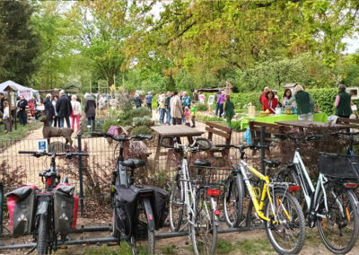 Kräutergarten-Dreieich-2024