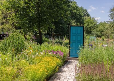 Vom Schottergarten zum Naturgarten
